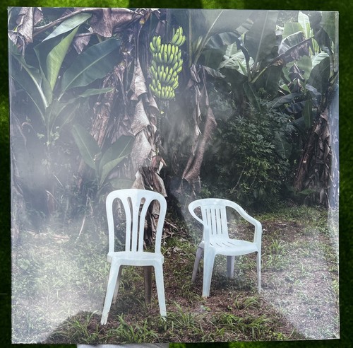 Bad bunny debí tirar - bunny,