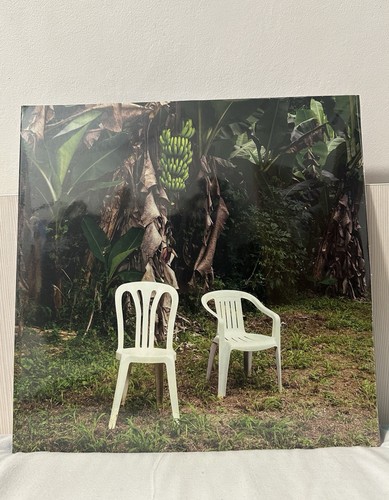 Bad bunny debi tirar más - -,