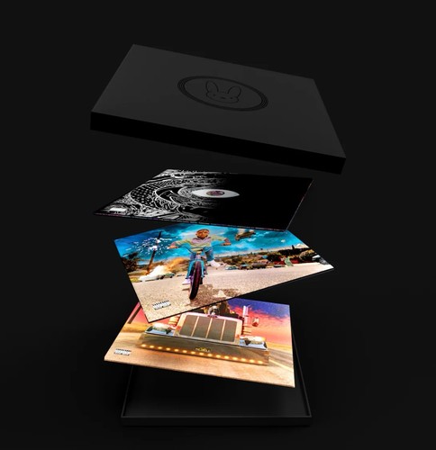 Bad bunny vinyl - bunny,