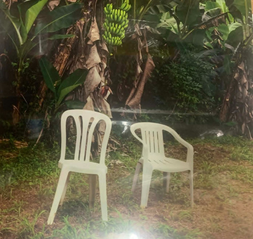Bad bunny debi tirar - -,