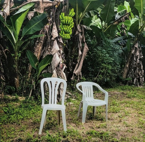 Bad bunny debí - bunny,